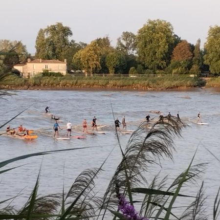 L'Atelier Saint-Sulpice Entre Bordeaux Et St Emilion Bed & Breakfast ภายนอก รูปภาพ