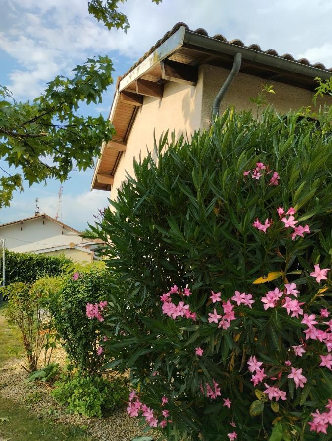 L'Atelier Saint-Sulpice Entre Bordeaux Et St Emilion Bed & Breakfast ภายนอก รูปภาพ